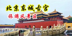 看大鸡巴操浪逼中国北京-东城古宫旅游风景区